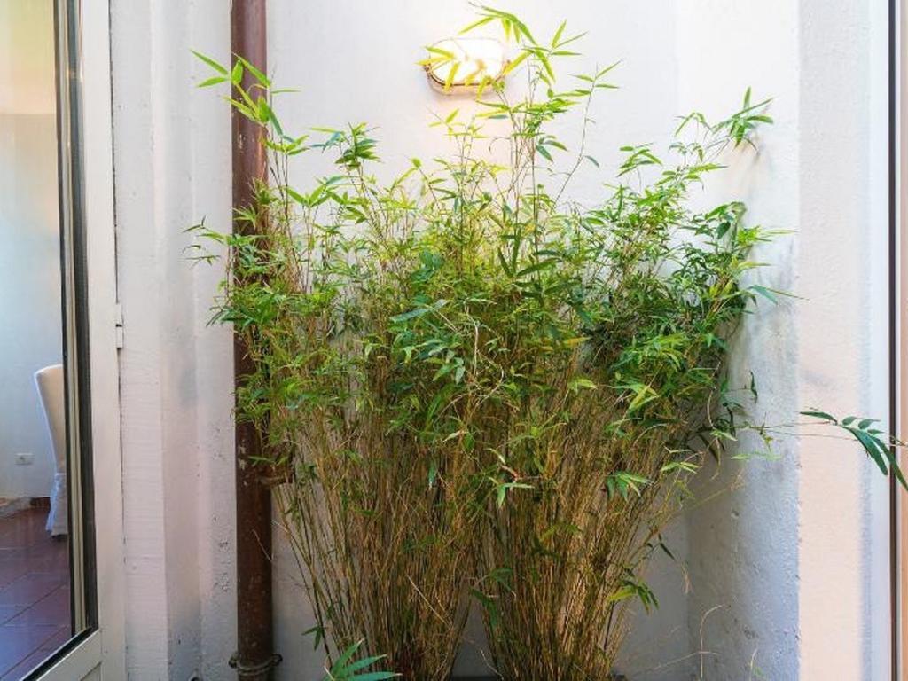 Apartamento Garibaldi Roof Garden
